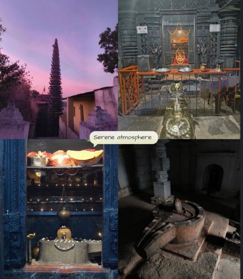 WhatsApp Image 2026-04-15 at 19.52.25